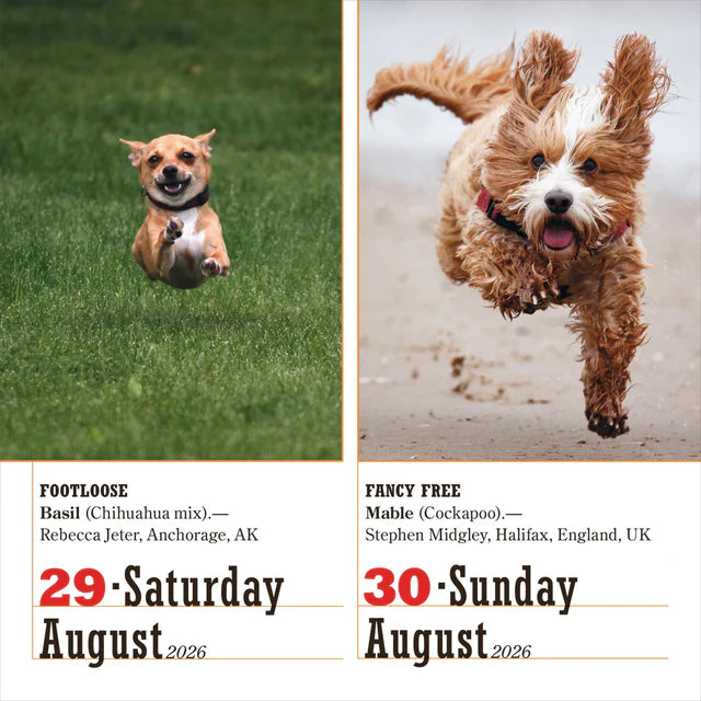 365 Dogs Page-A-Day Calendar 2026