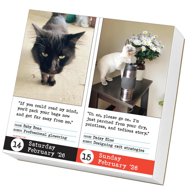 Bad Cat Page-A-Day Calendar 2026