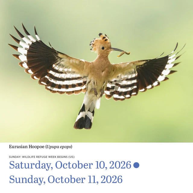 Audubon Birds Page-A-Day Calendar 2026