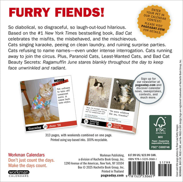 Bad Cat Page-A-Day Calendar 2026