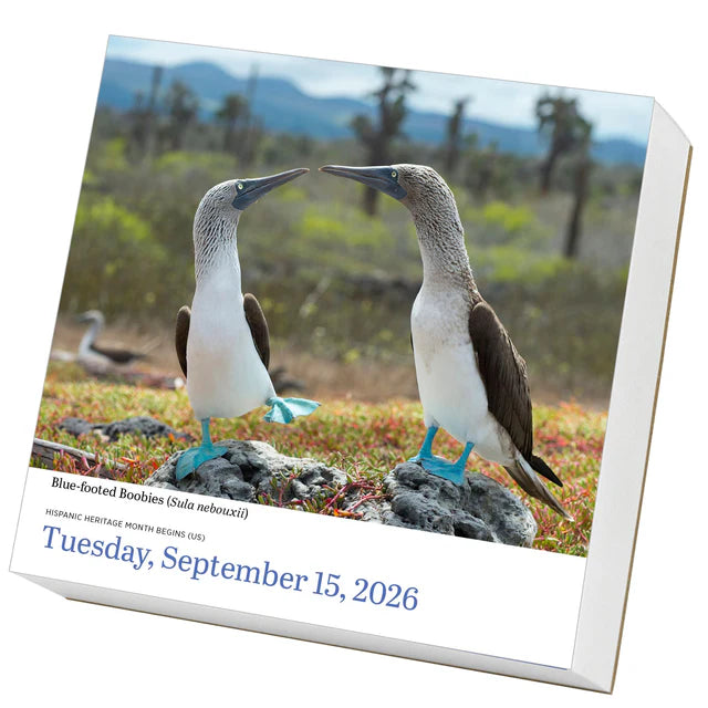 Audubon Birds Page-A-Day Calendar 2026