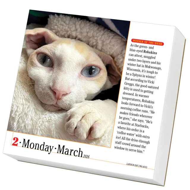 365 Cats Page-A-Day Calendar 2026