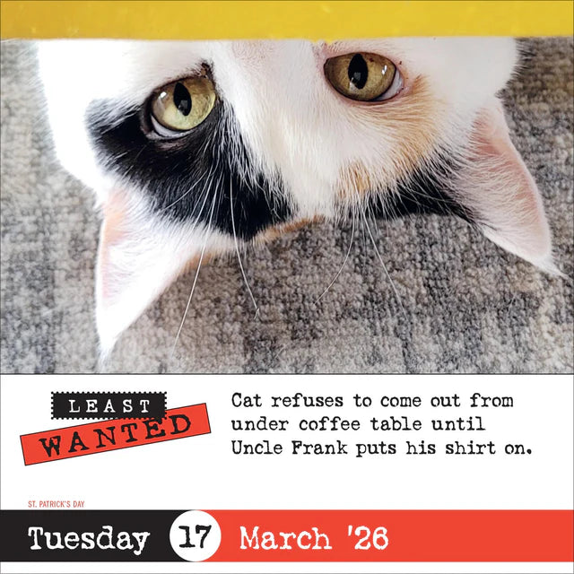 Bad Cat Page-A-Day Calendar 2026