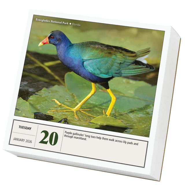 National Parks Page-A-Day Calendar 2026