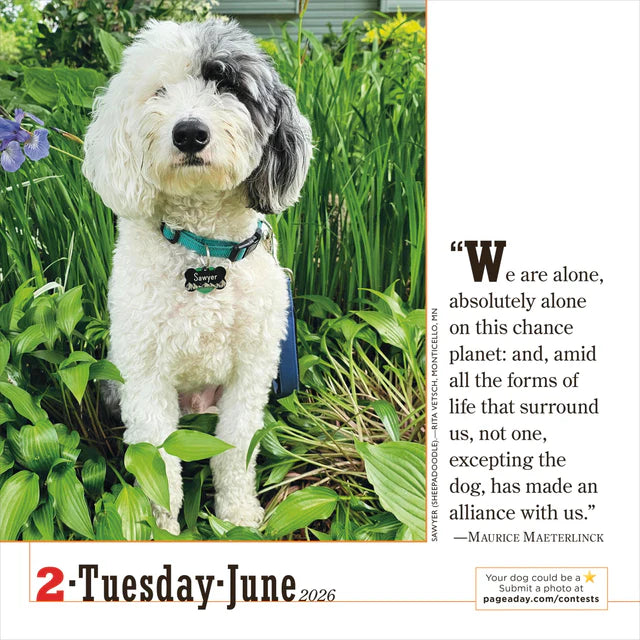 365 Dogs Page-A-Day Calendar 2026