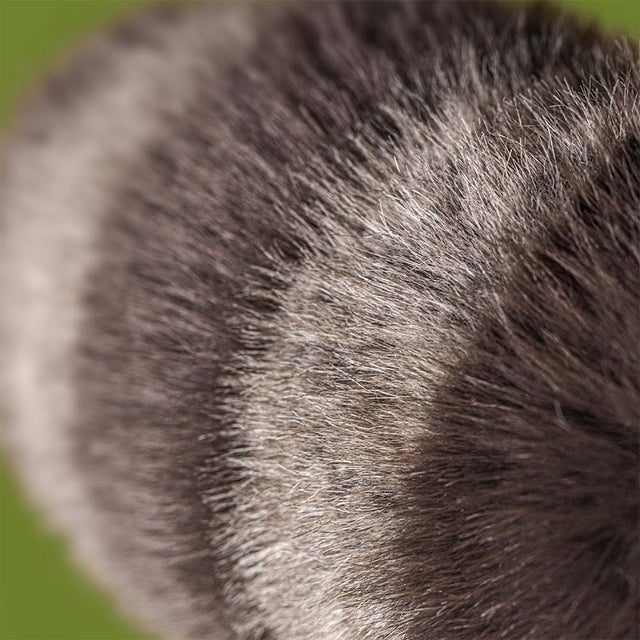 Trixiwoo Racoon