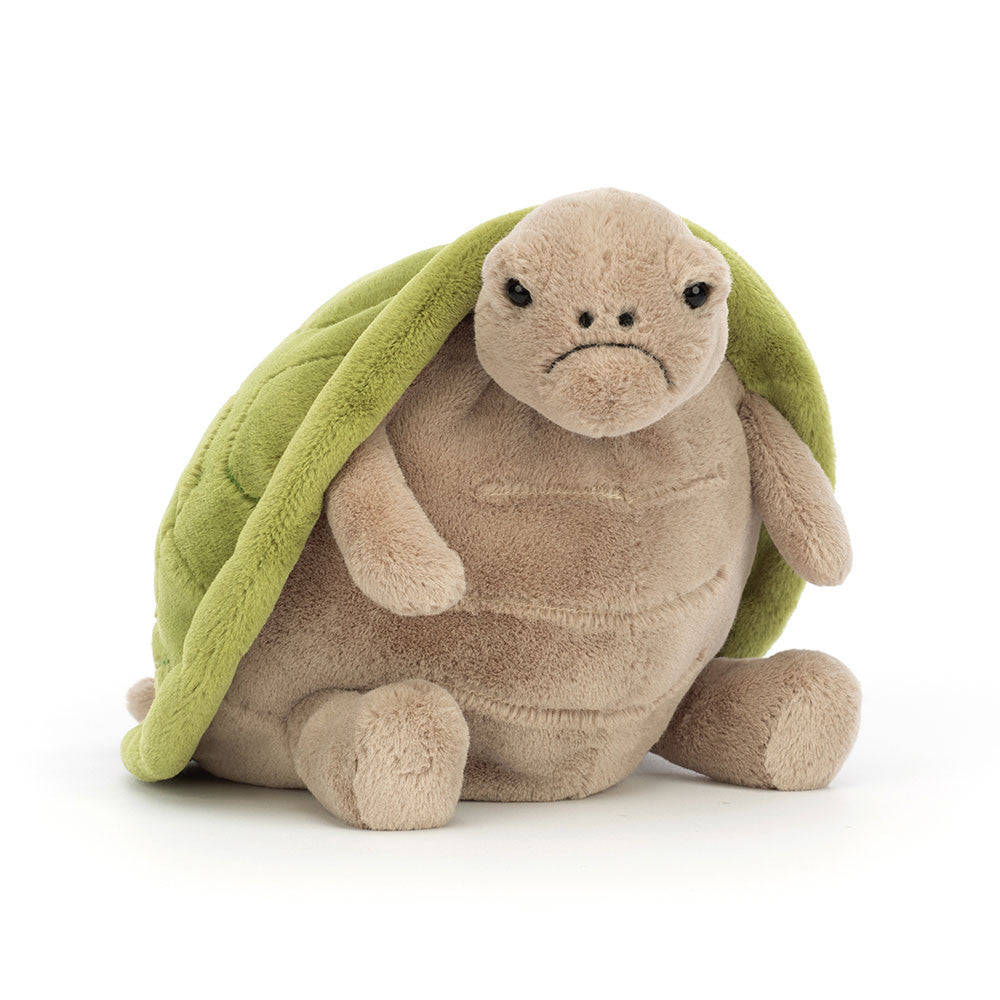Timmy Turtle Medium Plush
