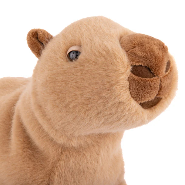 Theo Capybara Plush