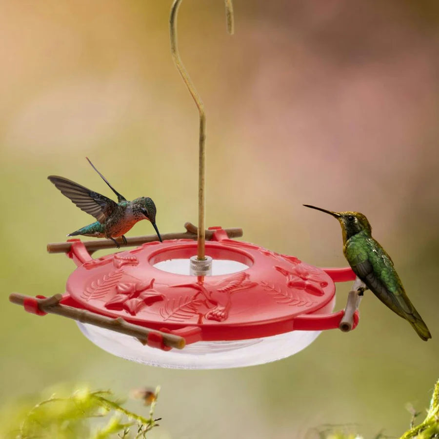 Aspen Perch Hummingbird Feeder 8oz