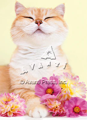 Pretty Cat w/ Flowers Mini Card