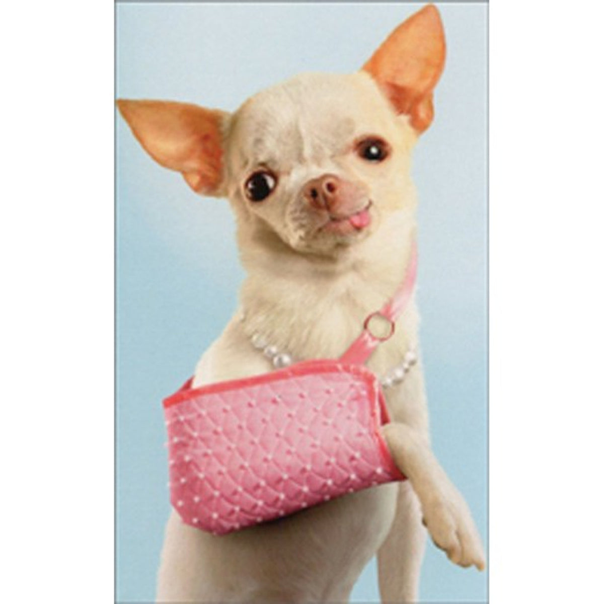 Chihuahua in Sling Mini Card