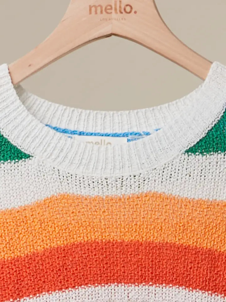 Multi Color Stripe Crewneck Sweater