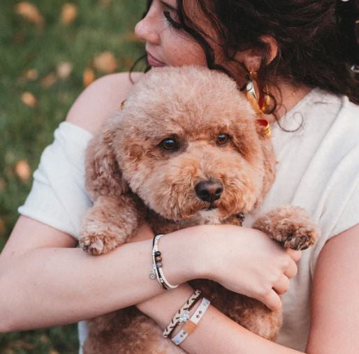 Paws: Hair + Tie Bracelets