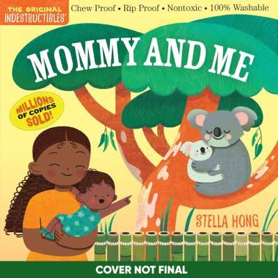 Indestructibles Books for Babies