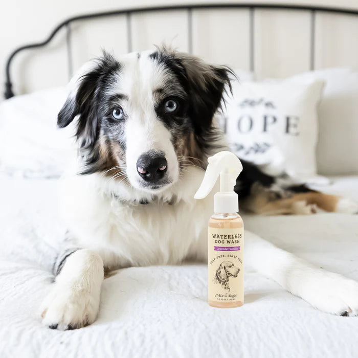 Waterless Dog Wash