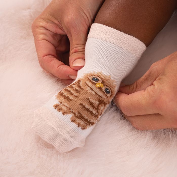 Little Forest Baby Socks Gift Set