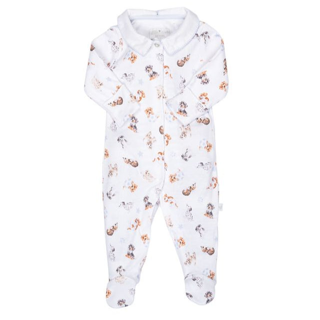 Little Paws Pattern Printed Babygrow