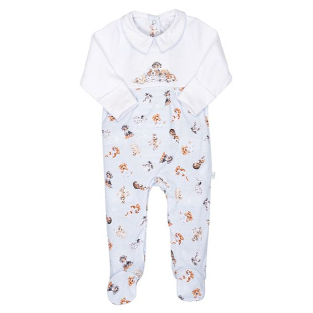 Little Paws Placement Print Babygrow