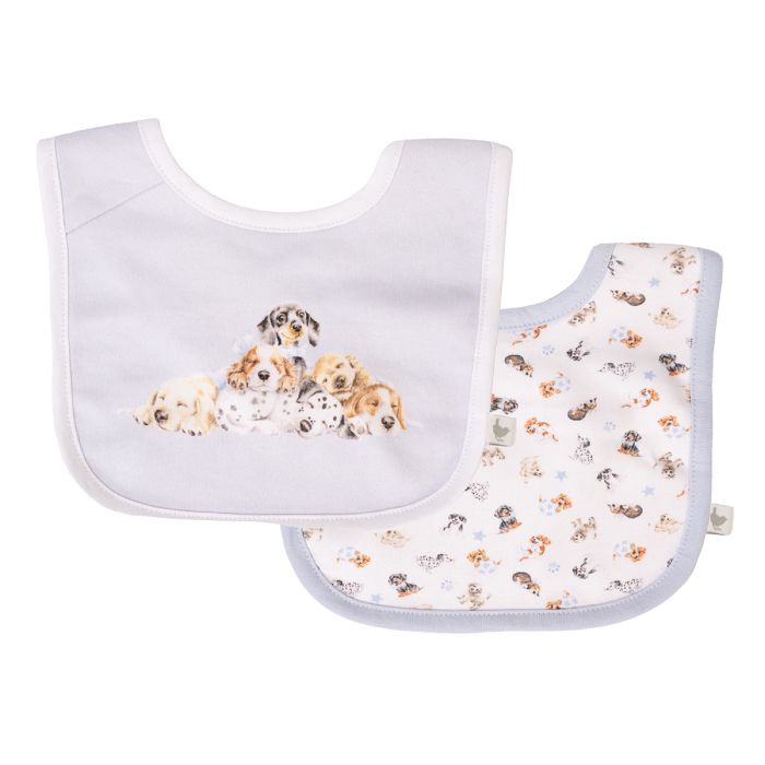 Little Paws Baby Bib Gift Set