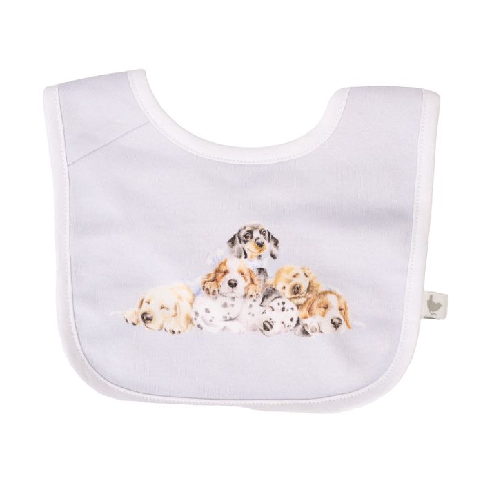 Little Paws Baby Bib Gift Set