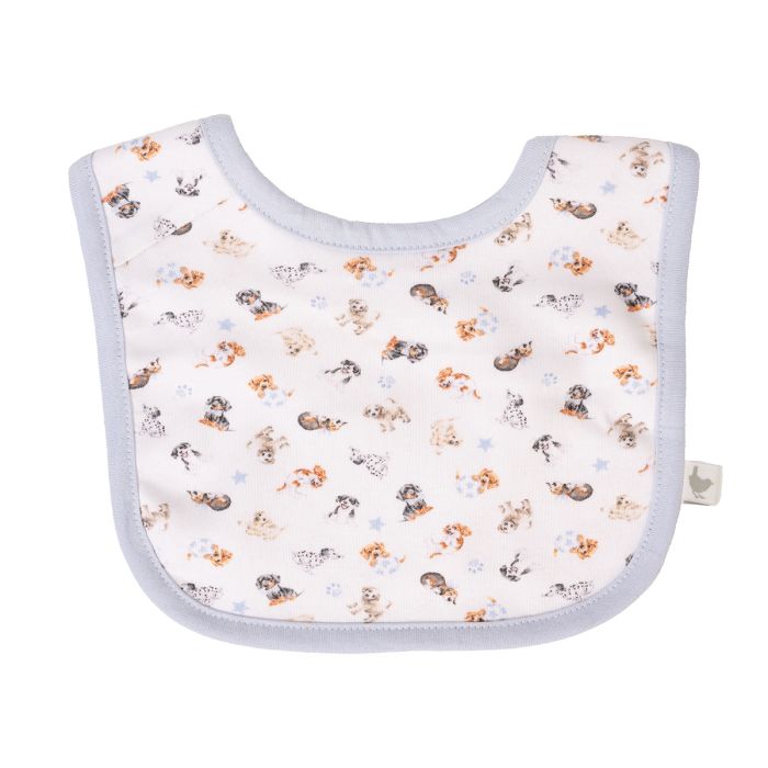 Little Paws Baby Bib Gift Set