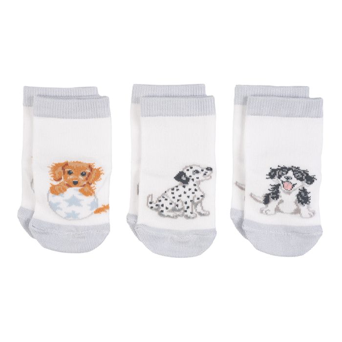 Little Paws Baby Socks Gift Set