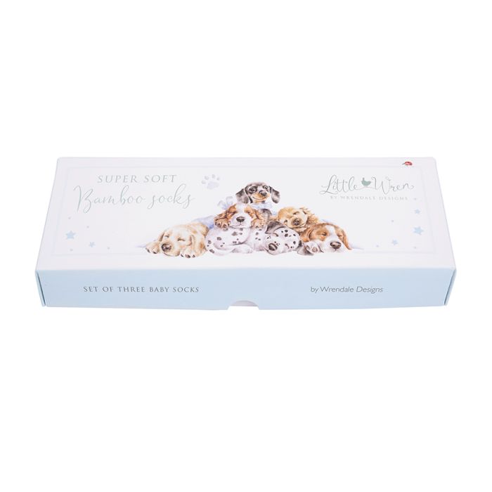 Little Paws Baby Socks Gift Set