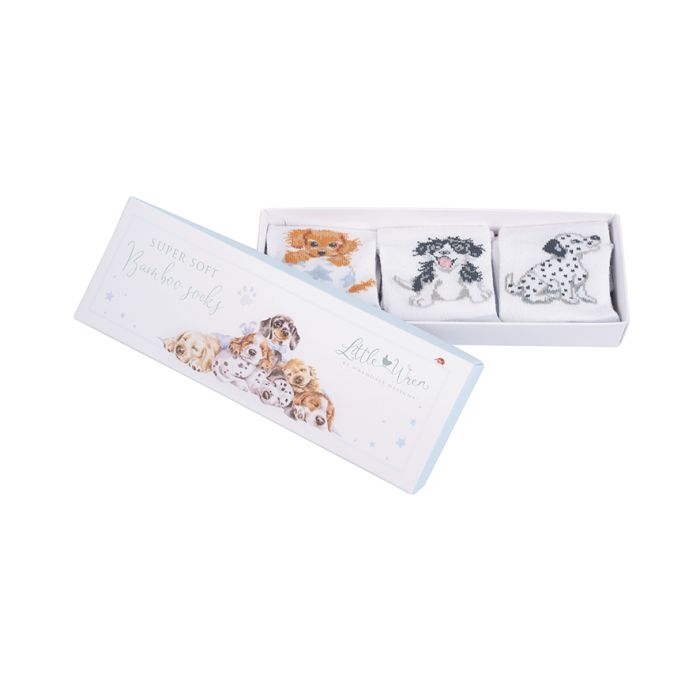 Little Paws Baby Socks Gift Set