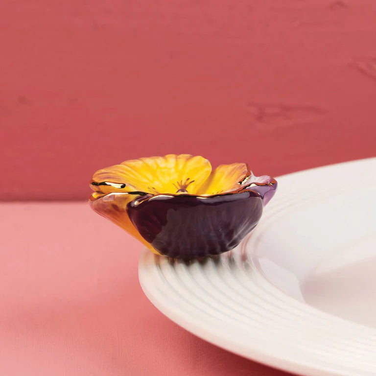 Pansy Pop Nora Mini