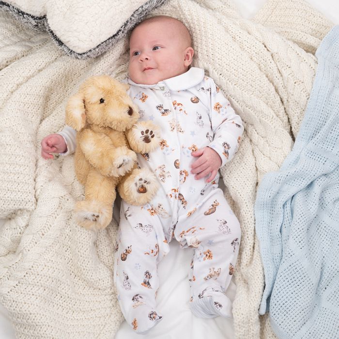 Little Paws Pattern Printed Babygrow