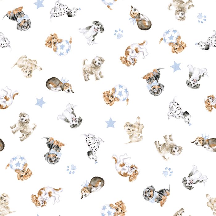 Little Paws Pattern Printed Babygrow
