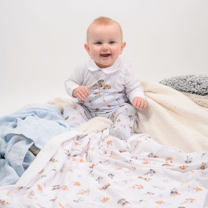 Little Paws Placement Print Babygrow