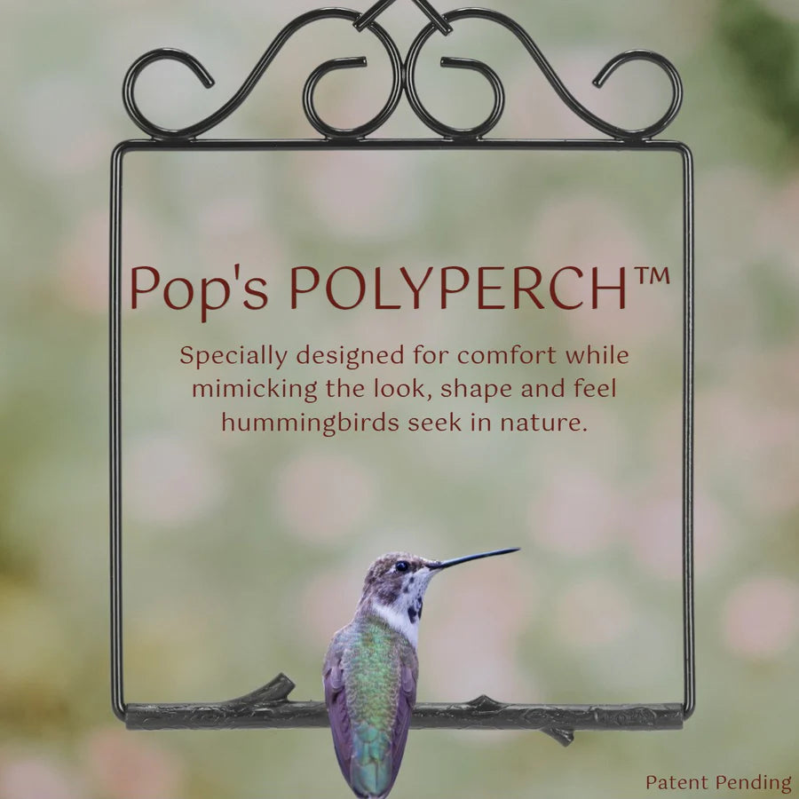 Hummingbird Swing
