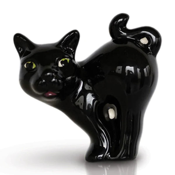 Scaredy Cat Nora Mini