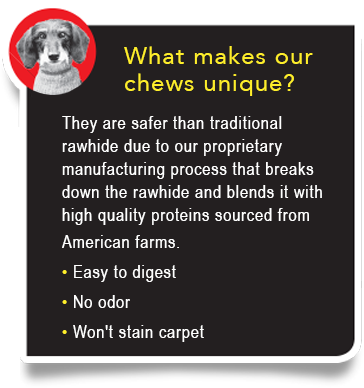 Natural Crunchy Chew Bar Dog Treat