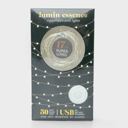 Copper Wire Mini Lights