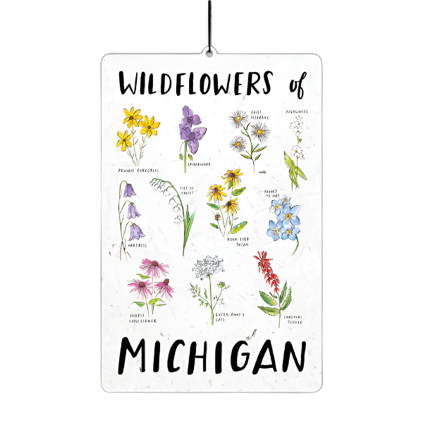 Michigan Air Fresheners