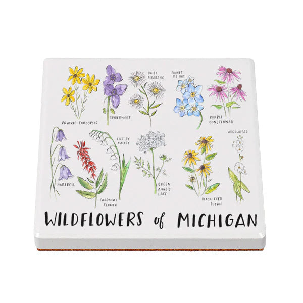 Michigan Coasters