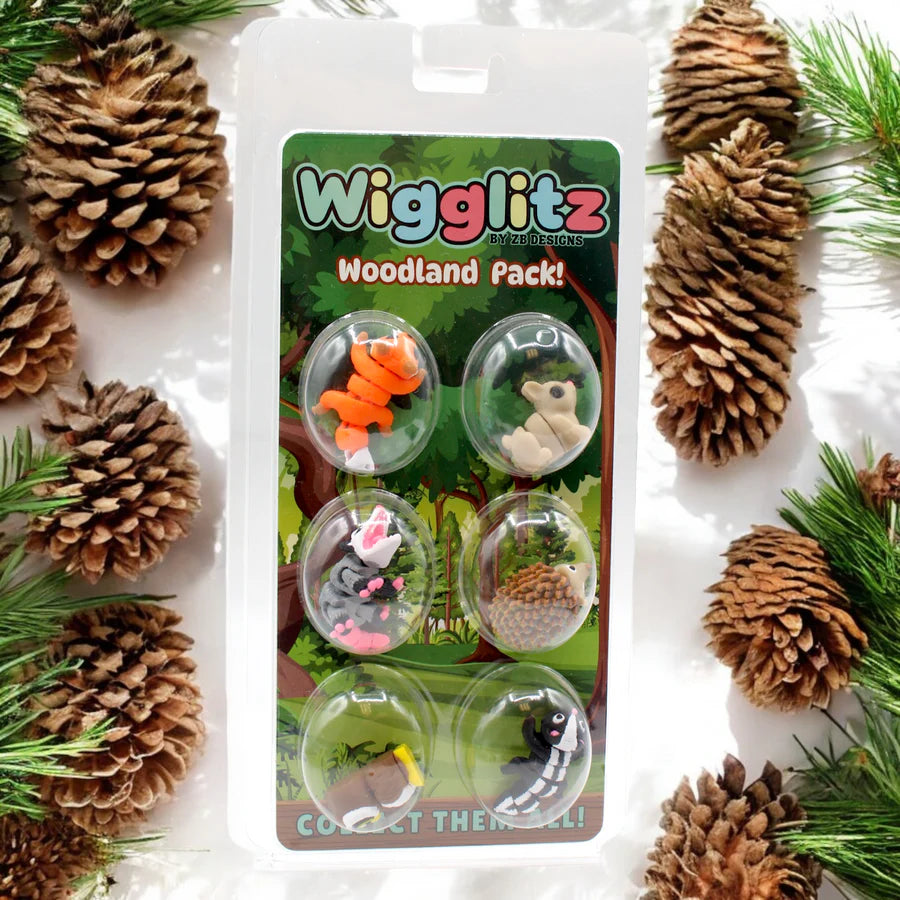 Wigglitz Fun Pack
