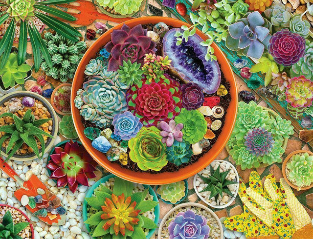 Springbok Succulent Garden 500 pc Puzzle