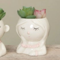 Porcelain Potted Succulent