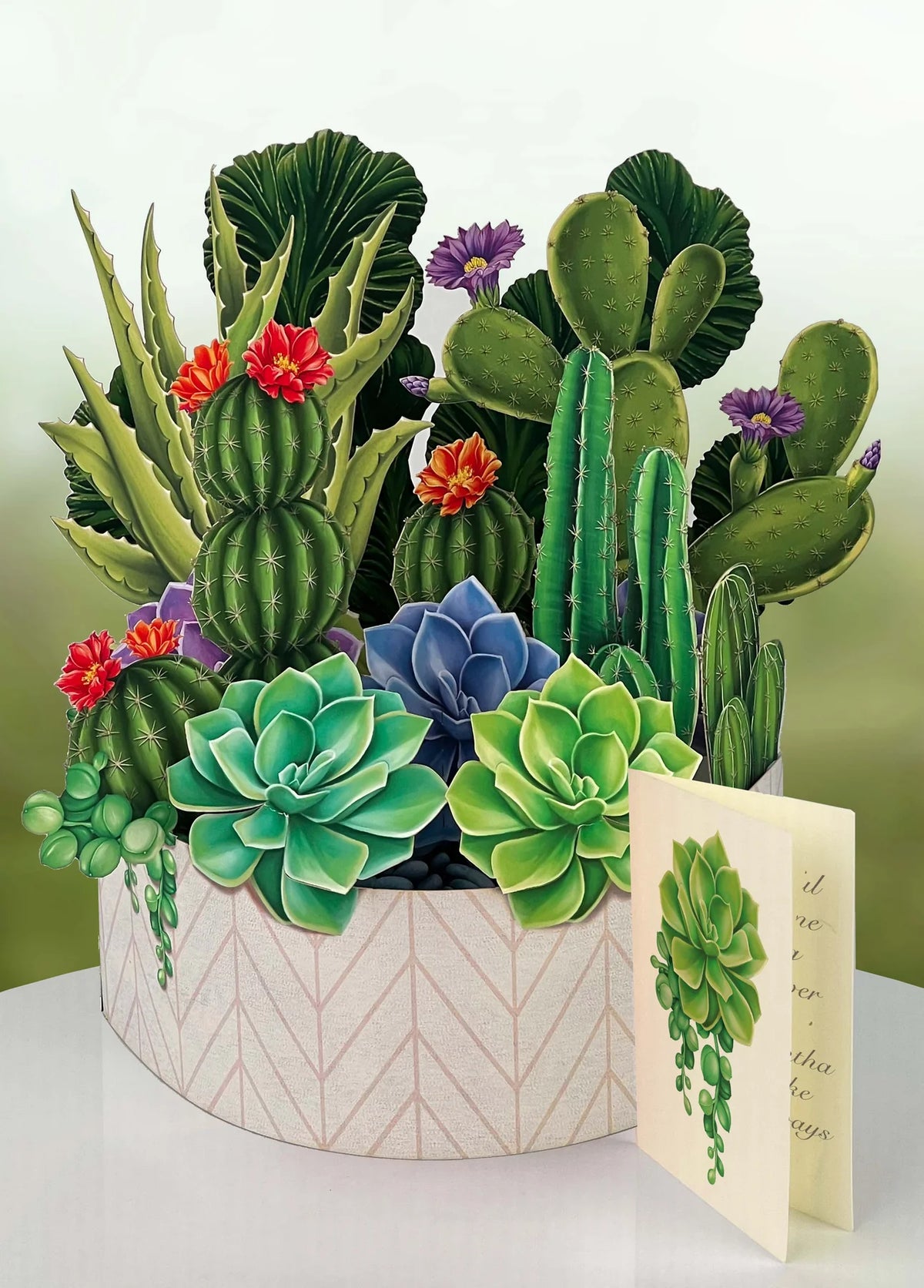 Fresh Cut Paper Standing Flowers Card