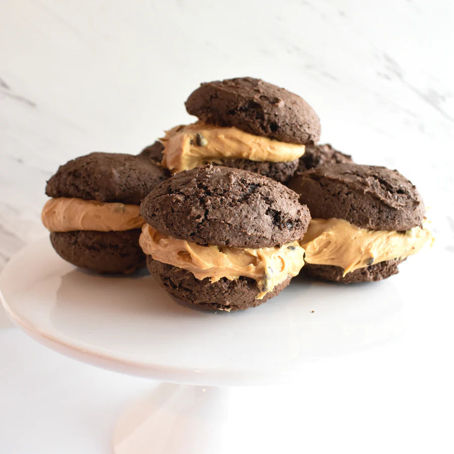 Peanut Butter Chocolate Chip Dip Mix