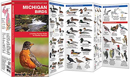 Michigan Birds Pocket Guide