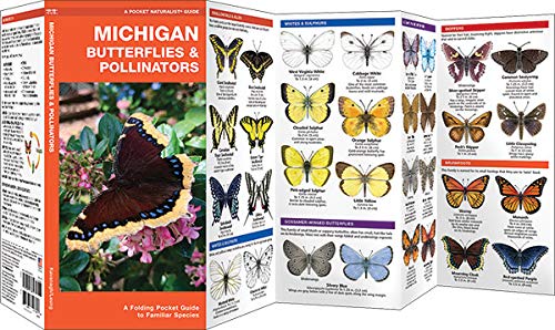Michigan Butterflies &amp; Pollinators Pocket Guide