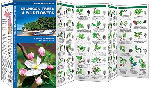 Michigan Trees &amp; Wildflowers Pocket Guide