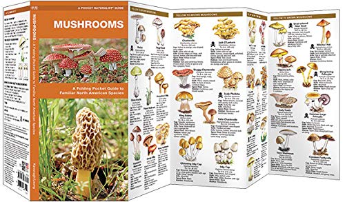 Mushrooms: A Pocket Guide