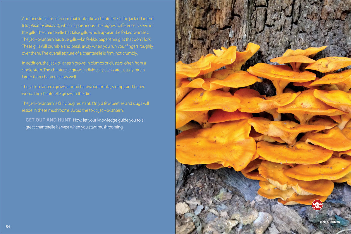 Start Mushrooming Book 2nd Edition