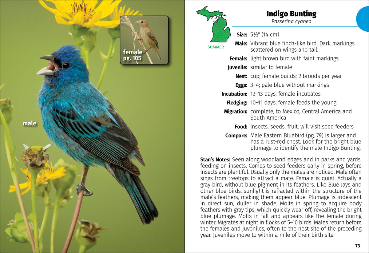 Birds Of Michigan Field Guide 3rd Edition