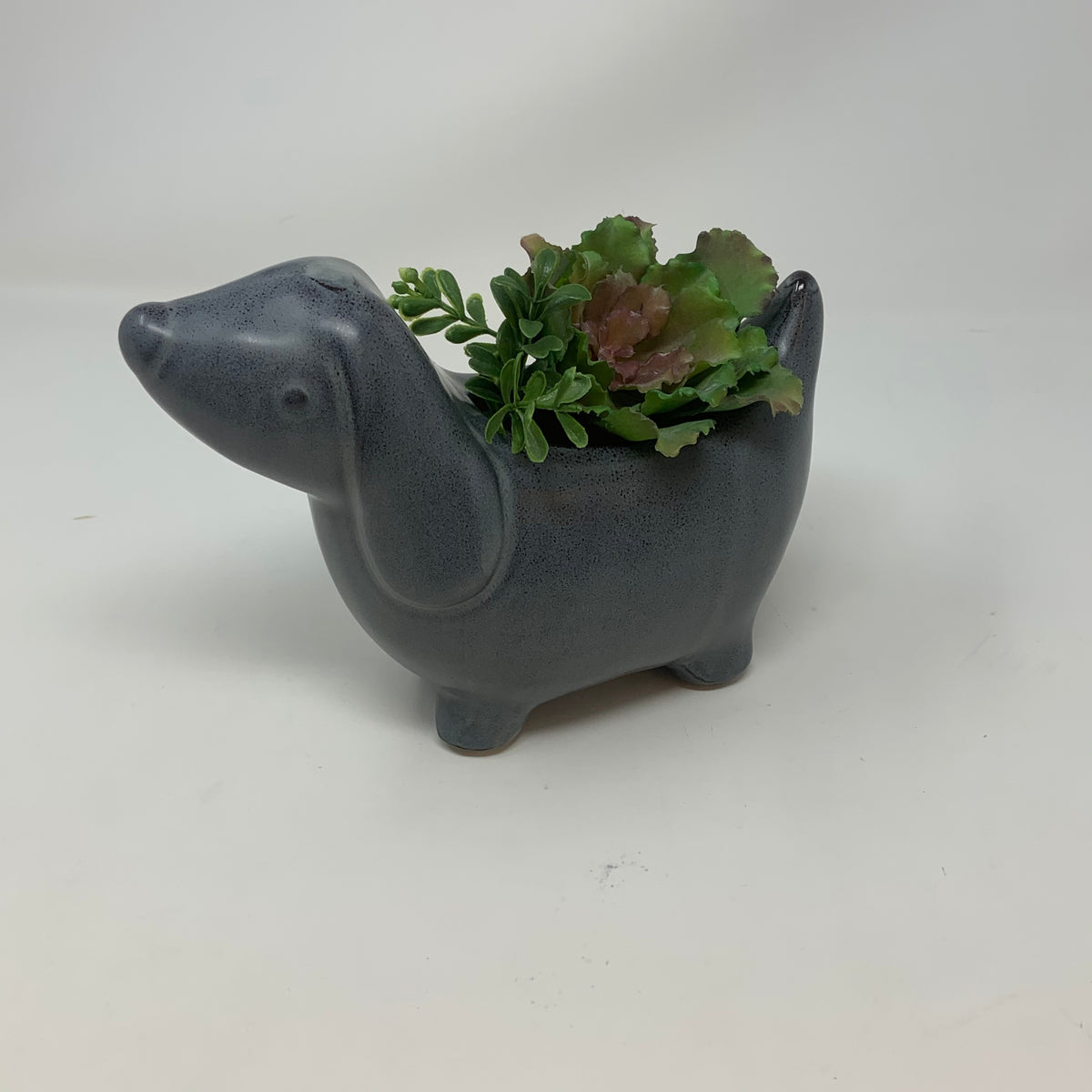 Cocoa Dog Planter